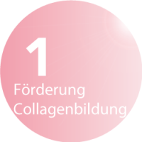 Beautylight im Beautystudio FIGURline Hannover - Förderung der Collagenbildung