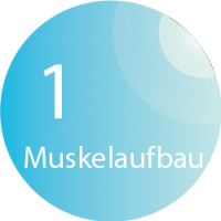 BODYformer im Beauty- und Figurstudio FIGURline in Hannover - Muskelaufbau