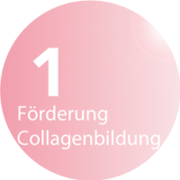 Beautylight im Beautystudio FIGURline Hannover - Förderung der Collagenbildung